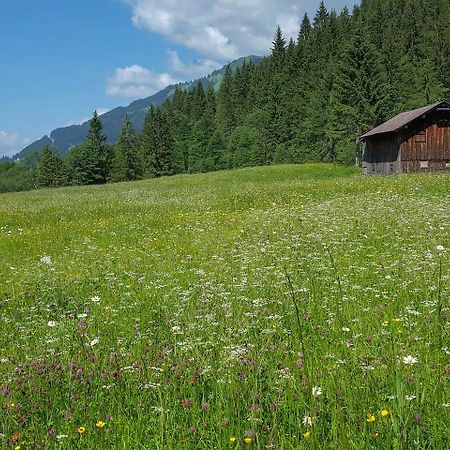 Naturzeithof Hirschegg (Vorarlberg) Zewnętrze zdjęcie